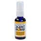 Scent Bomb Tangerine Blast Car Air Freshener - 100% Pure Oil Spray - Long Lasting Citrus Orange Scent