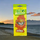 Coconut – Pine Tree Car Hanging Air Freshener Card MotorMist