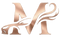 MotorMist